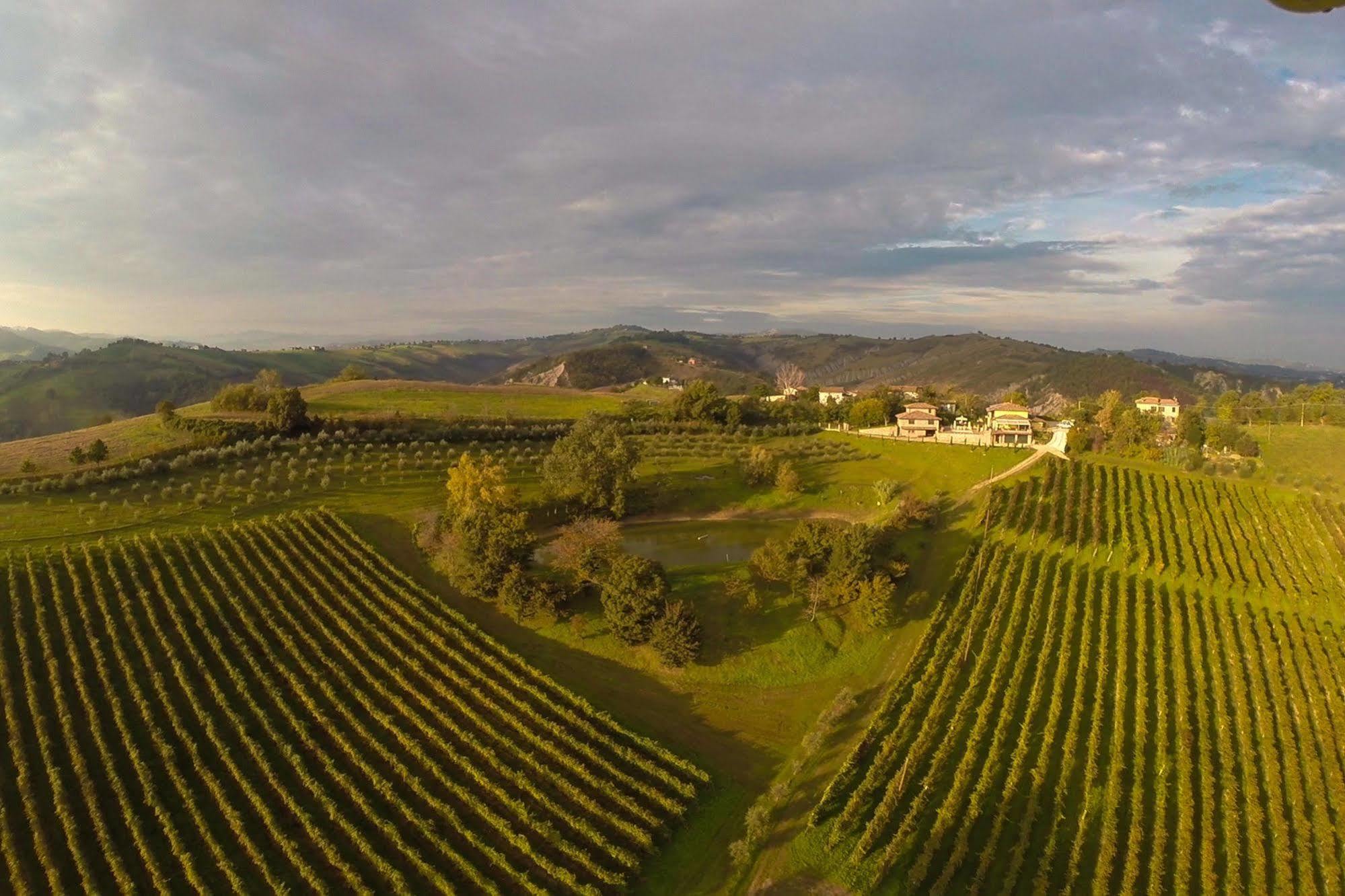Agriturismo Acetaia Sereni Marano sul Panaro Ngoại thất bức ảnh